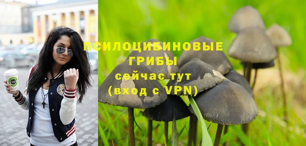 мяу мяу мука Алзамай