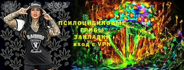 МДПВ Алексин