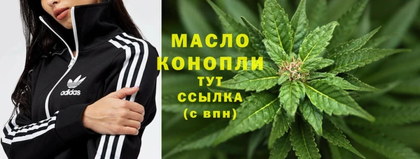 PSILOCYBIN Дмитриев