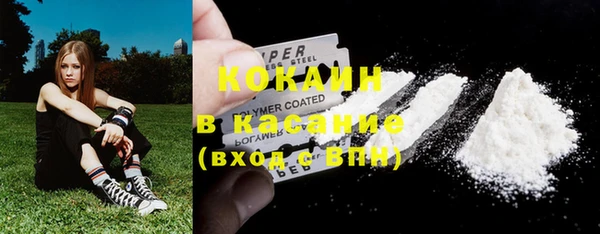 мяу мяу мука Алзамай